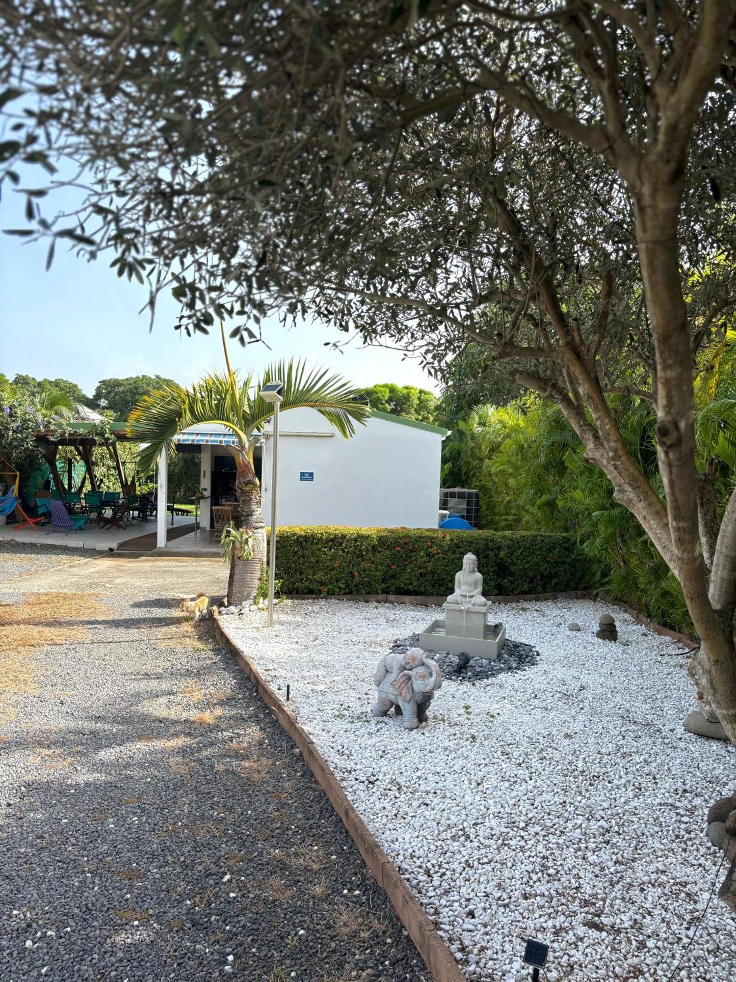 Gite Mabouya - Hamak, Piscine, Jardin Vila Anse-Bertrand Exterior foto